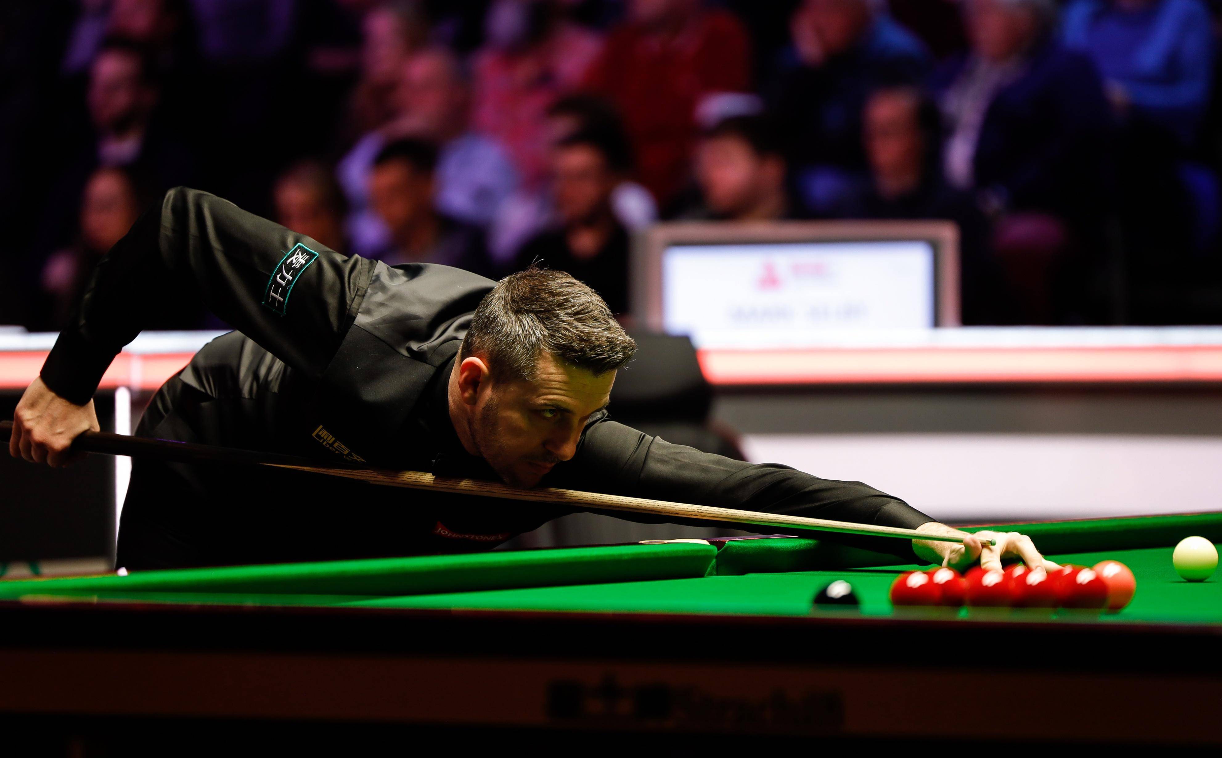 新崛起的赛 新崛起的赛